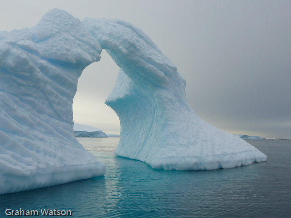 Icebergs at Pleneau Island