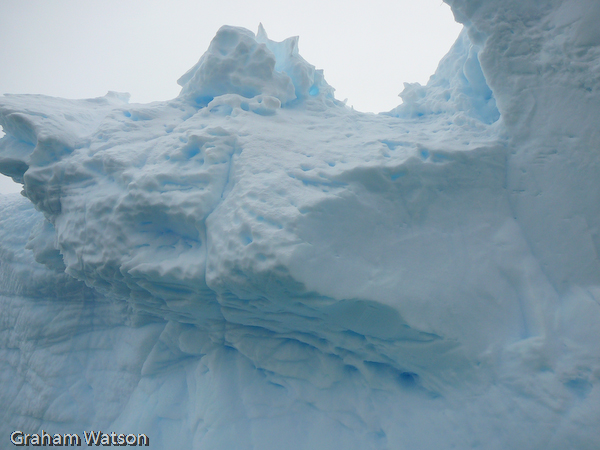 Icebergs at Pleneau Island