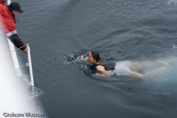 Olga Polar Plunging (Crew Member)