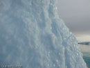 Icebergs at Pleneau Island