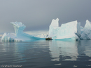 Icebergs at Pleneau Island