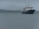 Polar Pioneer at Pendulum Cove, Deception Island